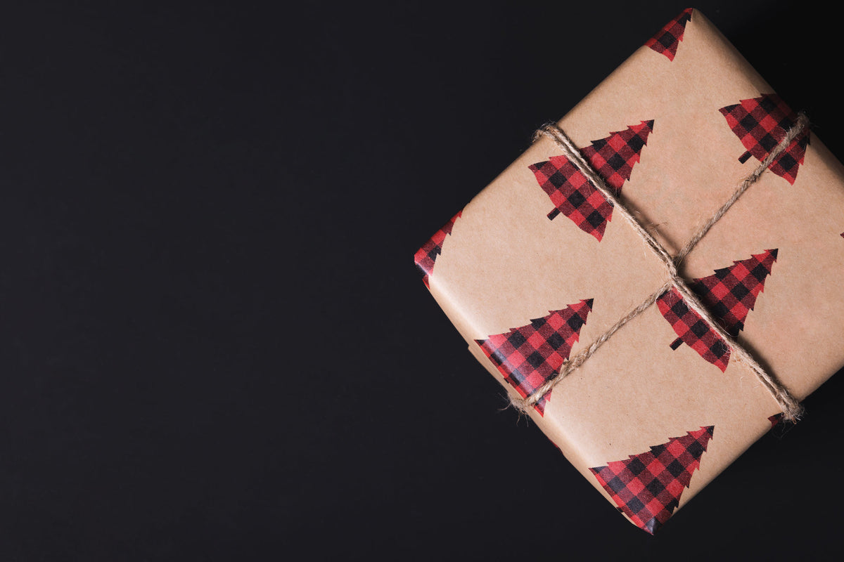 Christmas gift wrapped in plaid tree paper